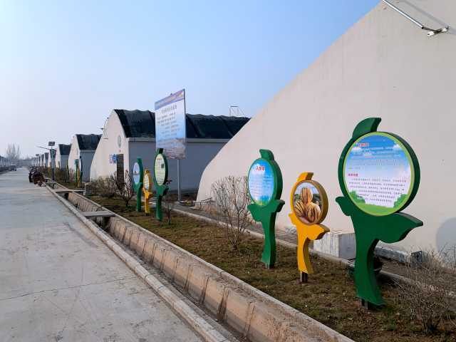 每日一景 山水溝村的美麗蝶變——產(chǎn)業(yè)助力發(fā)展，農(nóng)業(yè)技術(shù)推廣共建美麗鄉(xiāng)村